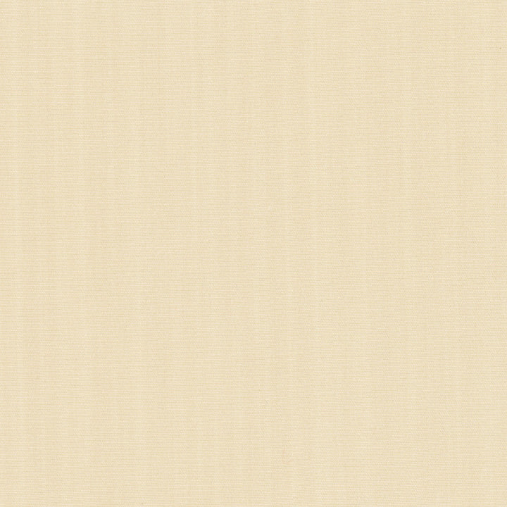 Tempt Antique by Carole Fabric Royale 100% IFR Polyester India Passes 45,000 Double Rubs Wyzenbeek Horizontal: 0 and Vertical: 0 54 - Fabric Carolina -