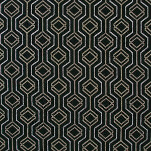 All Its Own Onyx by Carole Fabric