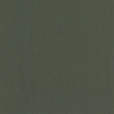 Grateful Hunter Green by Carole Fabric Grateful 70% Viscose, 30% Linen India  None 55.5"  - Fabric Carolina -