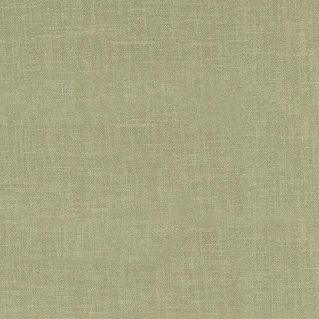 Bit Early Sage by Carole Designer Fabric Power Play 100% Polyester 50,000 Wyzenbeek Double Rubs None 54" - Swanky Fabrics -