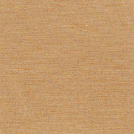 Northwind Toast by Carole Fabric New Northwind Iii,New Northwind IV 100% Polyester India Passes 9,000 Double Rubs Wyzenbeek Horizontal: None and Vertical: NONE 54" - Fabric Carolina -
