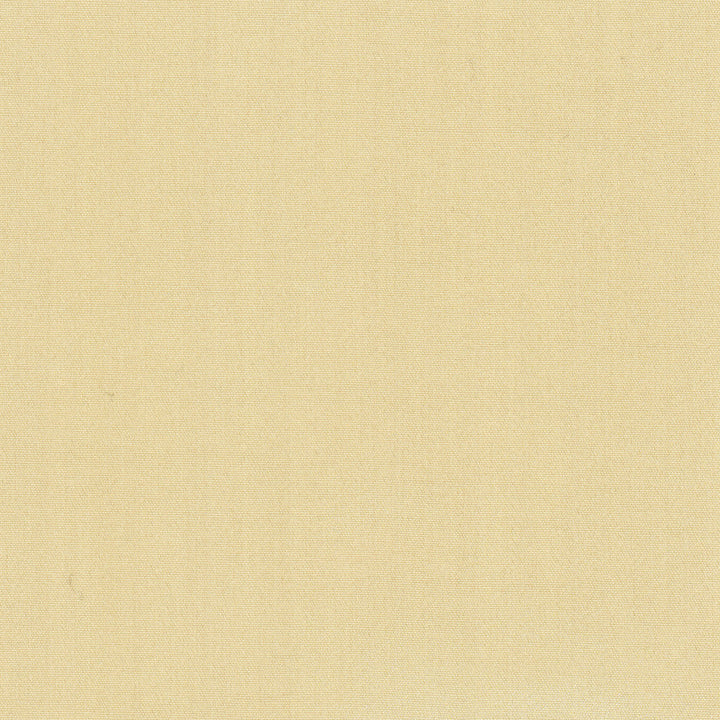 Tempt Straw by Carole Fabric Royale 100% IFR Polyester India Passes 45,000 Double Rubs Wyzenbeek Horizontal: 0 and Vertical: 0 54 - Fabric Carolina -
