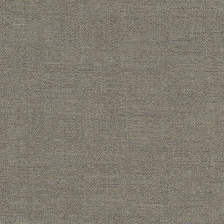 Cortland Granite by Carole Fabric Gala 100% Polyester India  None 54.75"  - Fabric Carolina -
