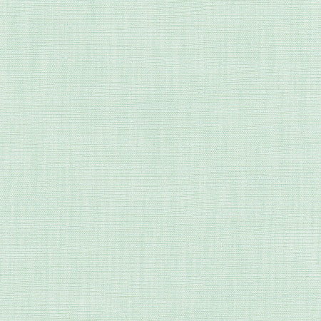 Athlete Seafoam by Carole Designer Fabric Celadon 60% Cotton, 40% Polyester India Passes 50,000 Double Rubs Wyzenbeek </p><p>Repeat: None 55" - Swanky Fabrics -