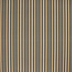 Rehearsal Pewter by Carole Fabric