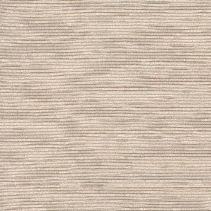 First Novel Putty by Carole Designer Fabric Stationery 72% Rayon, 28% Polyester China Passes 30,000 Double Rubs Wyzenbeek Horizontal: 0 and Vertical: 0 55 - Swanky Fabrics -