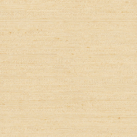 Aiden Bone by Carole Fabric Aiden Gallery,Chestnut 100% Polyester INDIA PASSES 30,000 DOUBLE RUBS WYZENBEEK </p><p>Repeat: None 56" - Fabric Carolina -