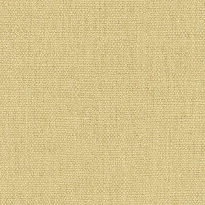 Resolve Latte by Carole Fabric