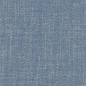 Fall Point Denim by Carole Fabric