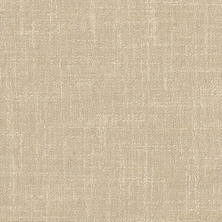 Enthusiasm Champagne by Carole Fabric Toasted Almond 100% Polyester INDIA N/A None 54"  - Fabric Carolina -