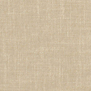 Enthusiasm Champagne by Carole Fabric
