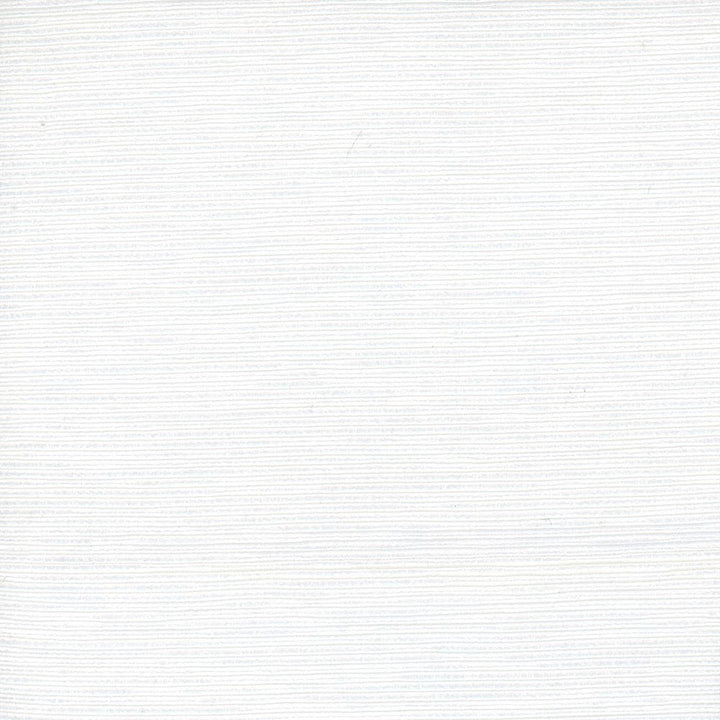 First Novel White by Carole Fabric Stationery 72% Rayon, 28% Polyester China Passes 30,000 Double Rubs Wyzenbeek Horizontal: 0 and Vertical: 0 55 - Fabric Carolina -