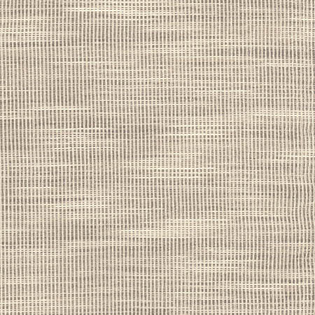 Secret Service Smoke by Carole Fabric Dove Wing 100% Polyester INDIA N/A None 54"  - Fabric Carolina -