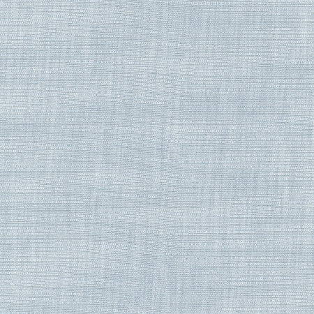 Athlete Cloud by Carole Designer Fabric Cadet 60% Cotton, 40% Polyester India Passes 50,000 Double Rubs Wyzenbeek </p><p>Repeat: None 55" - Swanky Fabrics -