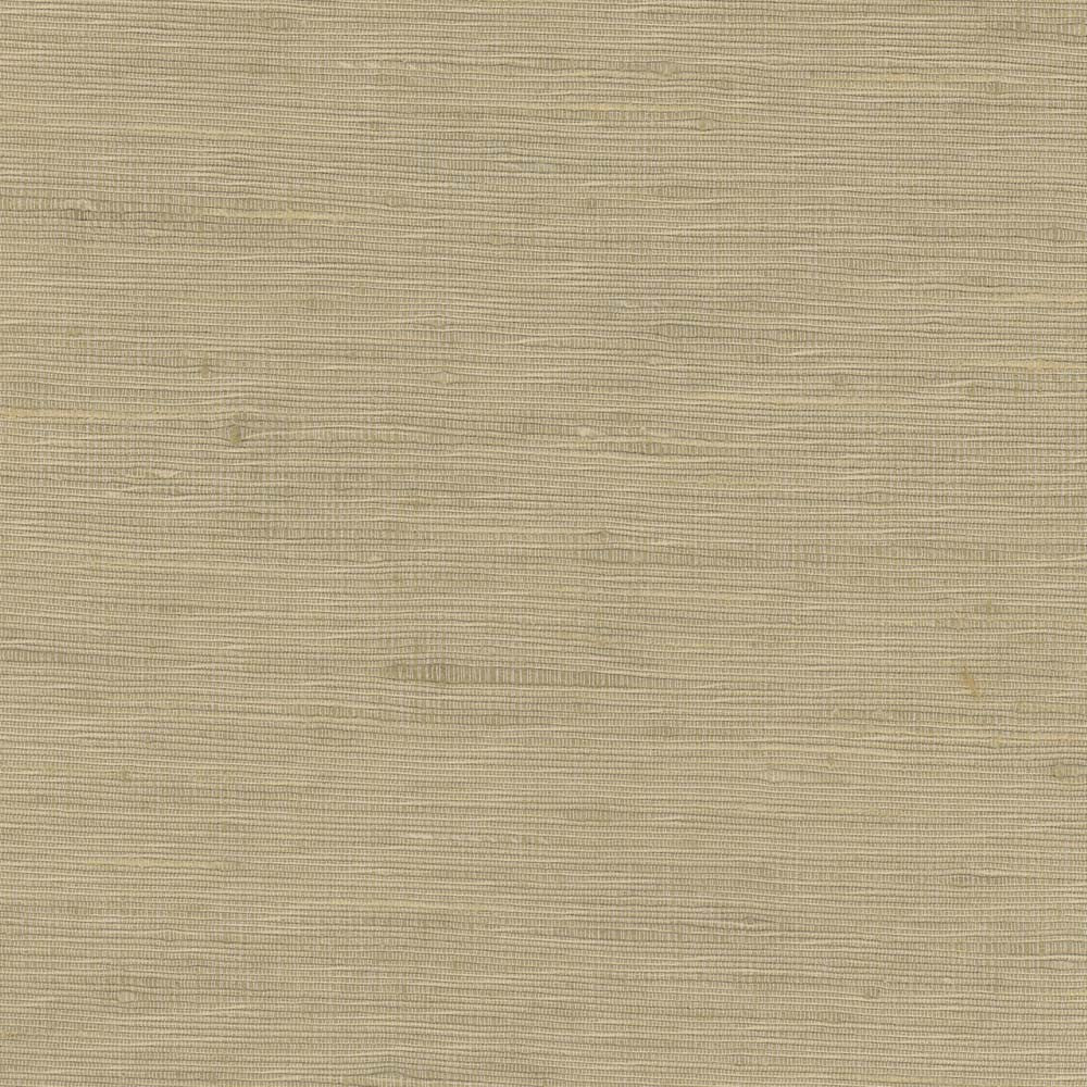 Lydia Mineral by Carole Fabric Lydia Ii 100% Polyester India N/A Horizontal: 0 and Vertical: 0 54 - Fabric Carolina -