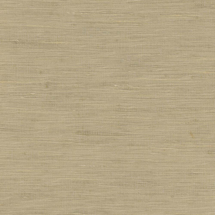 Lydia Mineral by Carole Fabric Lydia Ii 100% Polyester India N/A Horizontal: 0 and Vertical: 0 54 - Fabric Carolina -