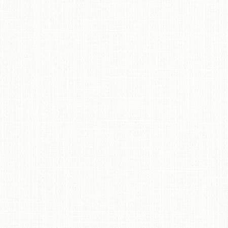 Duty Calls Glacier by Carole Fabric Dove Wing 77% Polyester, 14% Cotton, 9% Linen INDIA N/A None 54"  - Fabric Carolina -