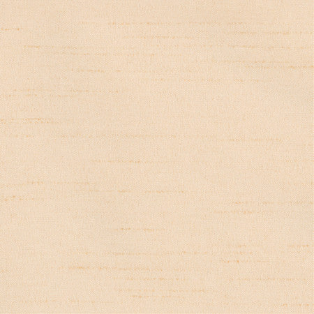 Bane Himalayan Salt by Carole Designer Fabric With Grace 100% Polyester Hybrid FR Mexico 30,000 WYZENBEEK DOUBLE RUBS None 54" - Swanky Fabrics -