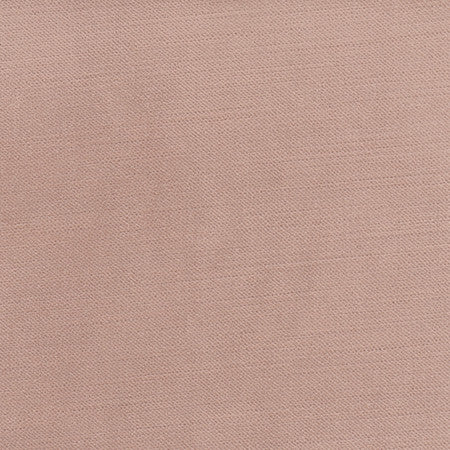 <p>Regal Touch Blush by Carole Fabric</p><p><strong>Required Minimum Quantity Purchase: 2 yards</strong></p><p>Book: Warm Embrace</p><p>Content: 100% Polyester</p><p>Origin: </p><p>Performance: 15,000 Wyzenbeek Double Rubs</p><p>Repeat: None</p><p>Width: 55""</p>