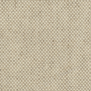 Abner Scoured by Carole Fabric