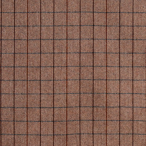 Divided Space Sienna by Carole Fabric
