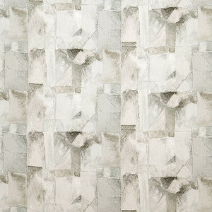Fun Pick Stormy by Carole Fabric