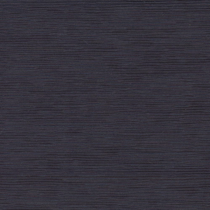 First Novel Navy by Carole Fabric Stationery 72% Rayon, 28% Polyester China Passes 30,000 Double Rubs Wyzenbeek Horizontal: 0 and Vertical: 0 55 - Fabric Carolina -