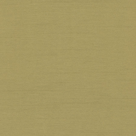 Bassco Kiwi by Carole Fabric With Grace 100% Polyester China N/A None 58"  - Fabric Carolina -