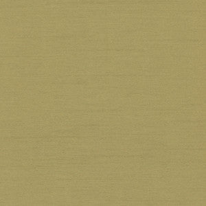 Bassco Kiwi by Carole Fabric