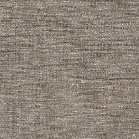 Sensational Java by Carole Fabric Best Dressed 100% Polyester N/A None 54" - Fabric Carolina -