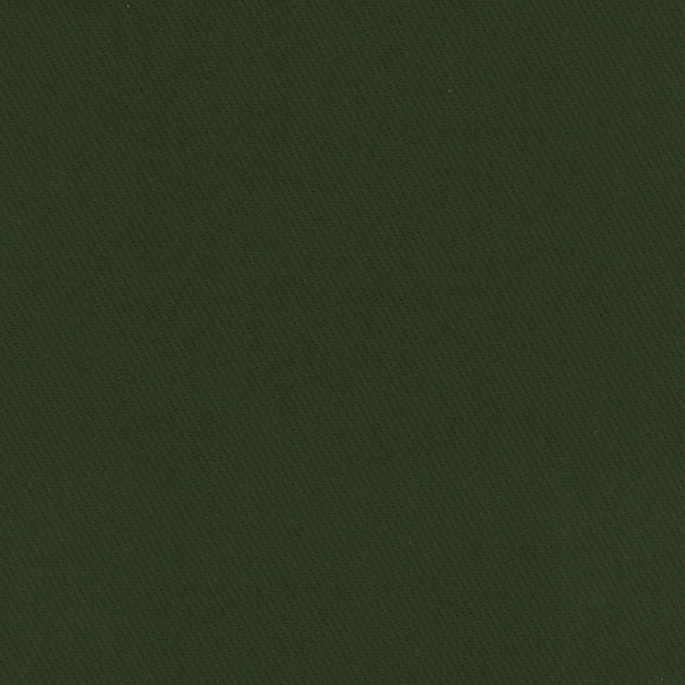 Kirkland Deep Green by Carole Fabric Celadon 100% Cotton Brazil Passes 30,000 Double Rubs Wyzenbeek Horizontal: 0 and Vertical: 0 64 - Fabric Carolina -
