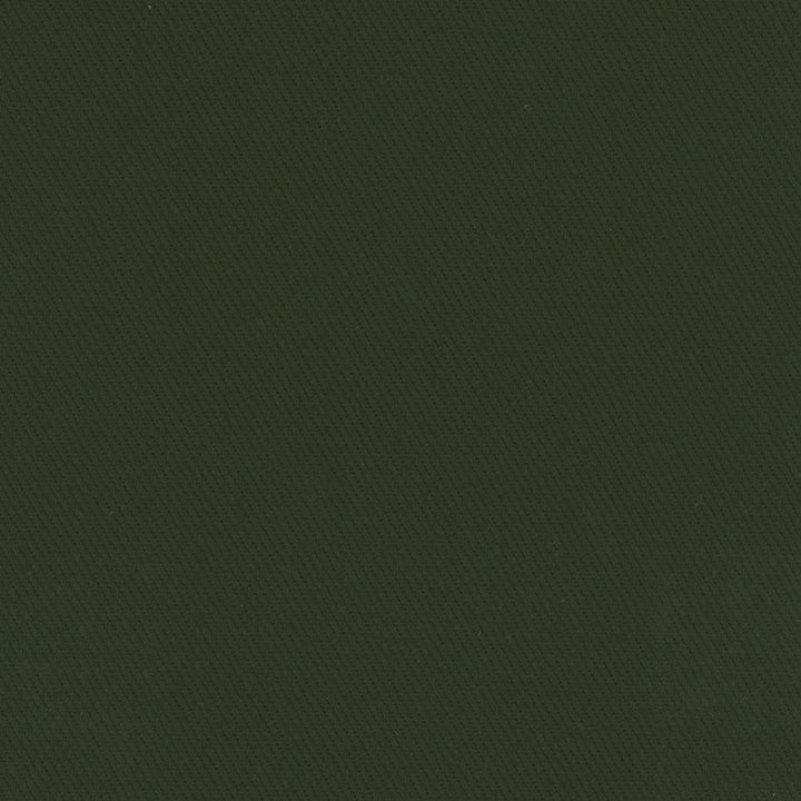 Kirkland Deep Green by Carole Fabric Celadon 100% Cotton Brazil Passes 30,000 Double Rubs Wyzenbeek Horizontal: 0 and Vertical: 0 64 - Fabric Carolina -
