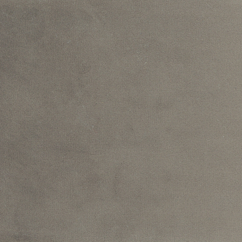 Plush Touch Charcoal by Carole Fabric Touch Of Luxury 100% Polyester Knit Backing China 235,000 Wyzenbeek Double Rubs Horizontal: 0 and Vertical: 0 55 - Fabric Carolina -