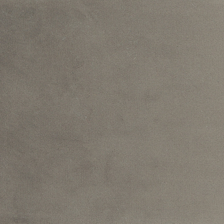 Plush Touch Charcoal by Carole Fabric Touch Of Luxury 100% Polyester Knit Backing China 235,000 Wyzenbeek Double Rubs Horizontal: 0 and Vertical: 0 55 - Fabric Carolina -