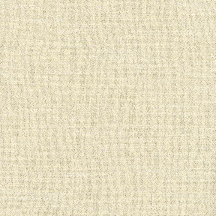 Say Yes Shimmer by Carole Fabric Winner'S Circle 78% Polyester, 22% Viscose India N/A Horizontal: 0 and Vertical: 0 55 - Fabric Carolina -