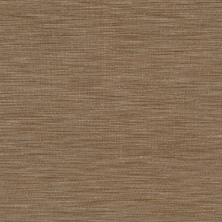 Superstar Bronze by Carole Fabric Best Dressed 100% Polyester 3,000 Wyzenbeek Double Rubs None 54" - Fabric Carolina -