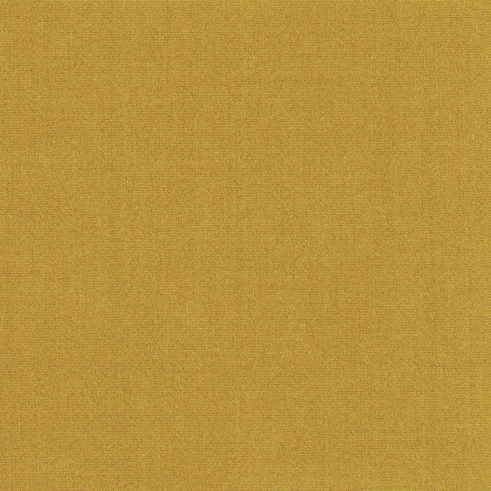 Tempt Ginger by Carole Fabric Royale 100% IFR Polyester India Passes 45,000 Double Rubs Wyzenbeek Horizontal: 0 and Vertical: 0 54 - Fabric Carolina -