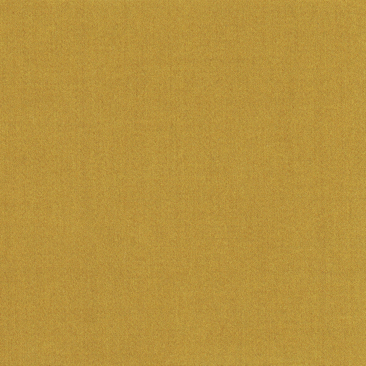 Tempt Ginger by Carole Fabric Royale 100% IFR Polyester India Passes 45,000 Double Rubs Wyzenbeek Horizontal: 0 and Vertical: 0 54 - Fabric Carolina -