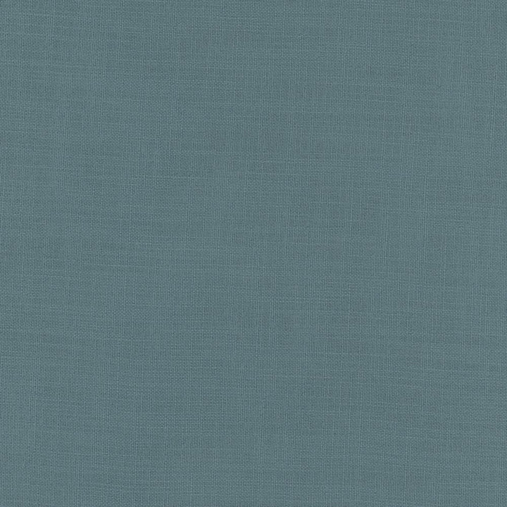 Fundamental Eucalyptus by Carole Fabric Fundamental 100% Polyester Turkey Passes 20,000 Double Rubs Wyzenbeek Horizontal: 0 and Vertical: 0 54 - Fabric Carolina -