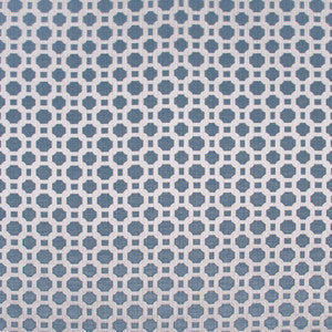 Prized Possession Sky by Carole Fabric