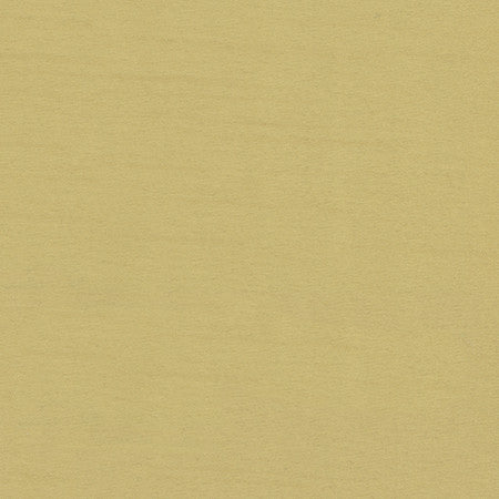 Bassco Celery by Carole Fabric With Grace 100% Polyester China N/A None 58"  - Fabric Carolina -
