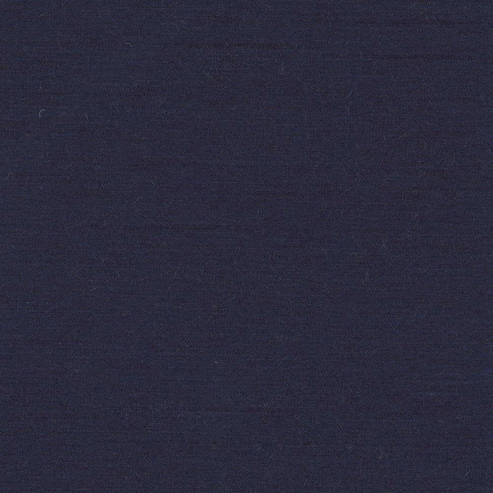 Northwind Atlantic by Carole Fabric New Northwind Iv 100% Polyester India Passes 9,000 Double Rubs Wyzenbeek Horizontal: 0 and Vertical: 0 54 - Fabric Carolina -