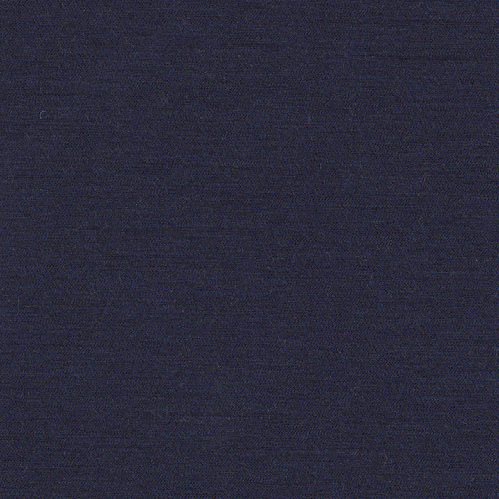 Northwind Atlantic by Carole Fabric New Northwind Iv 100% Polyester India Passes 9,000 Double Rubs Wyzenbeek Horizontal: 0 and Vertical: 0 54 - Fabric Carolina -