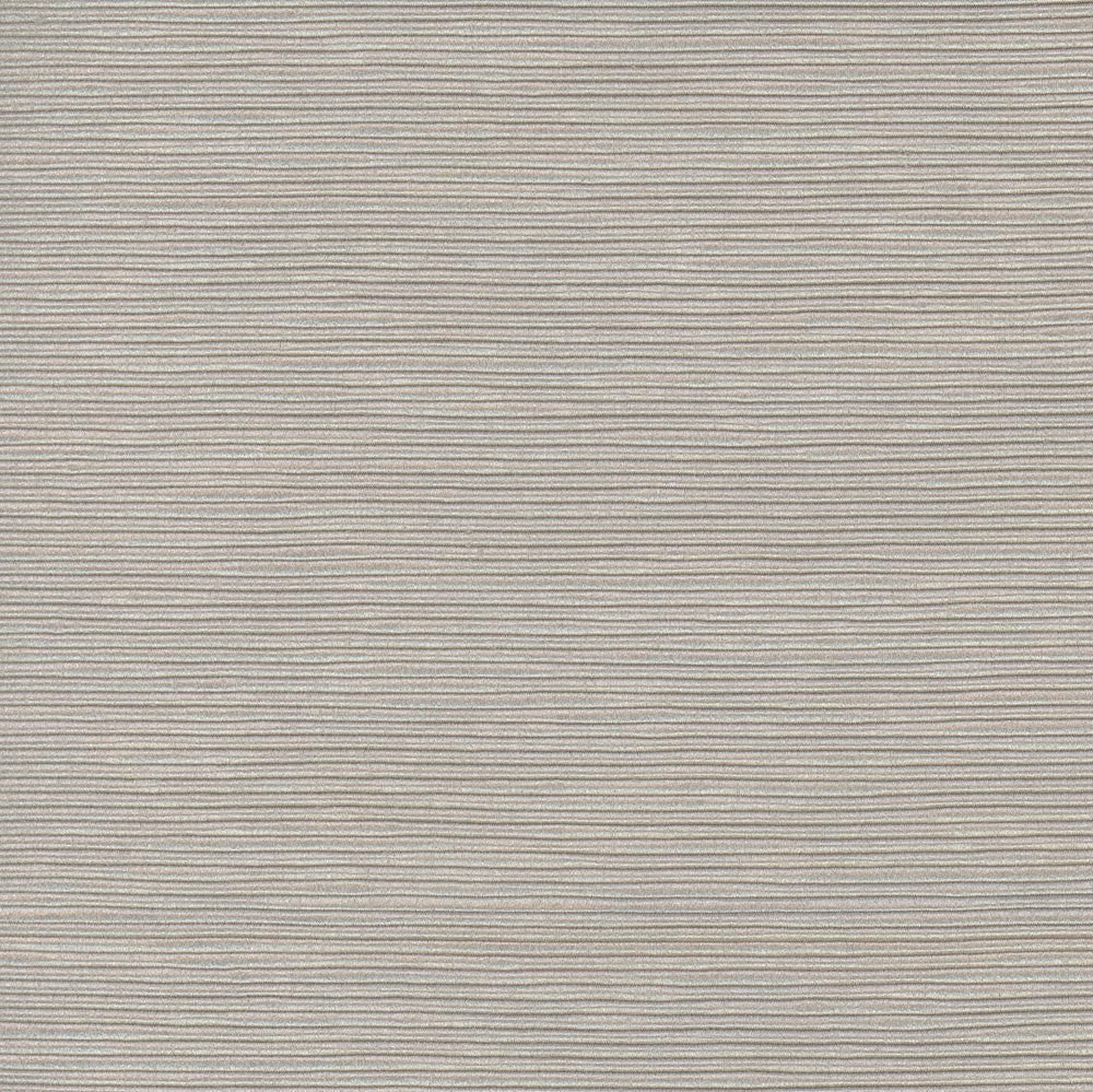 First Novel Smoke by Carole Fabric Stationery 72% Rayon, 28% Polyester China Passes 30,000 Double Rubs Wyzenbeek Horizontal: 0 and Vertical: 0 55 - Fabric Carolina -