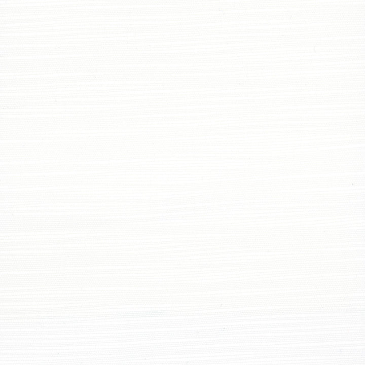 Athlete Icicle by Carole Fabric Opal 60% Cotton, 40% Polyester India Passes 50,000 Double Rubs Wyzenbeek Horizontal: 0 and Vertical: 0 55 - Fabric Carolina -