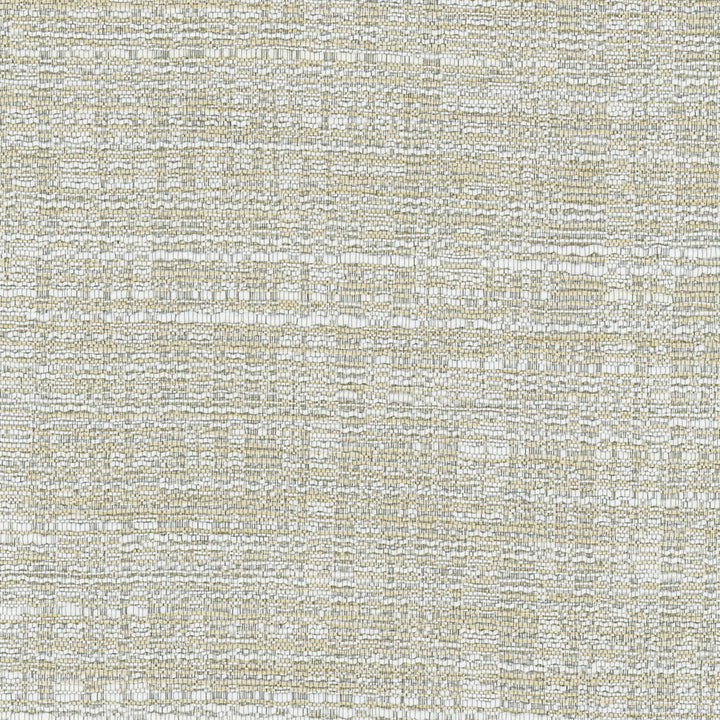 Floor It Silver by Carole Fabric Pewter 100% Polyester India N/A Horizontal: 0 and Vertical: 0 54 - Fabric Carolina -