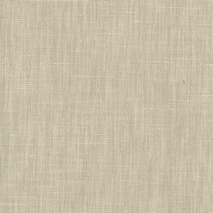 Dignity Suede by Carole Fabric