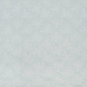 Big Dreams Mist by Carole Fabric