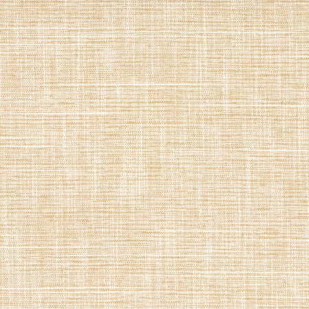 Big Thinker Raffia by Carole Fabric Power Play 100% Polyester N/A None 55" - Fabric Carolina -