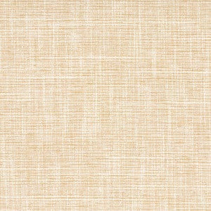 Big Thinker Raffia by Carole Fabric